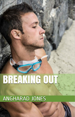 Breaking Out by Angharad Jones